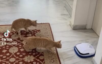 Η Σκούπα Robot: Η Νέα Επανάσταση στον Καθαρισμό του Σπιτιού