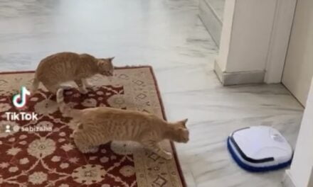 Η Σκούπα Robot: Η Νέα Επανάσταση στον Καθαρισμό του Σπιτιού