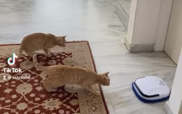 Η Σκούπα Robot: Η Νέα Επανάσταση στον Καθαρισμό του Σπιτιού