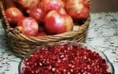 November 2022 Horoscope