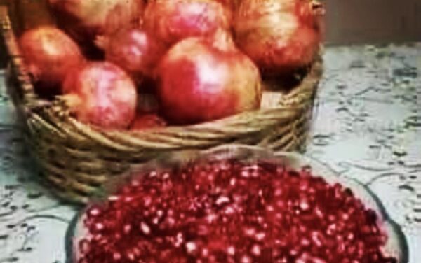 November 2022 Horoscope