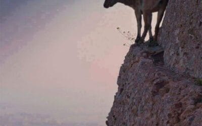 Αστρολογικές Προβλέψεις Ιανουαρίου 2025