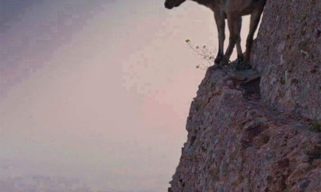 Αστρολογικές Προβλέψεις Ιανουαρίου 2025