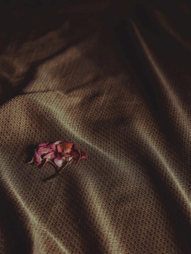 ❄️👗 Fashion Textures Lab : Ποια υφάσματα “αναπνέουν” και ζεσταίνουν πραγματικά τον χειμώνα;