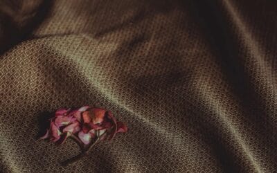 ❄️👗  Fashion Textures Lab: Ποια υφάσματα “αναπνέουν” και ζεσταίνουν πραγματικά τον χειμώνα;