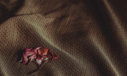 ❄️👗  Fashion Textures Lab: Ποια υφάσματα “αναπνέουν” και ζεσταίνουν πραγματικά τον χειμώνα;