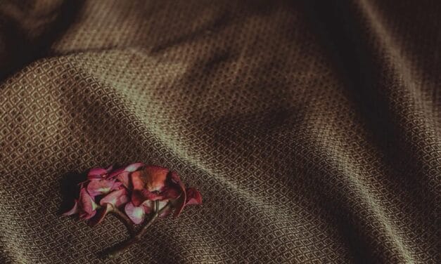 ❄️👗  Fashion Textures Lab: Ποια υφάσματα “αναπνέουν” και ζεσταίνουν πραγματικά τον χειμώνα;