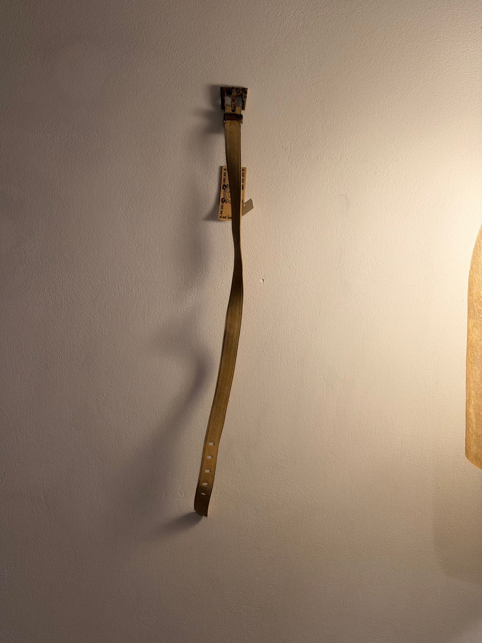 Roccobarocco suede ζώνη με tortoiseshell αγκράφα – Made in Italy 1 Roccobarocco suede ζώνη με tortoiseshell αγκράφα – Made in Italy