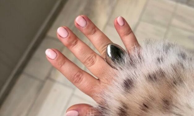 Minimal Chic ή Bold Color?