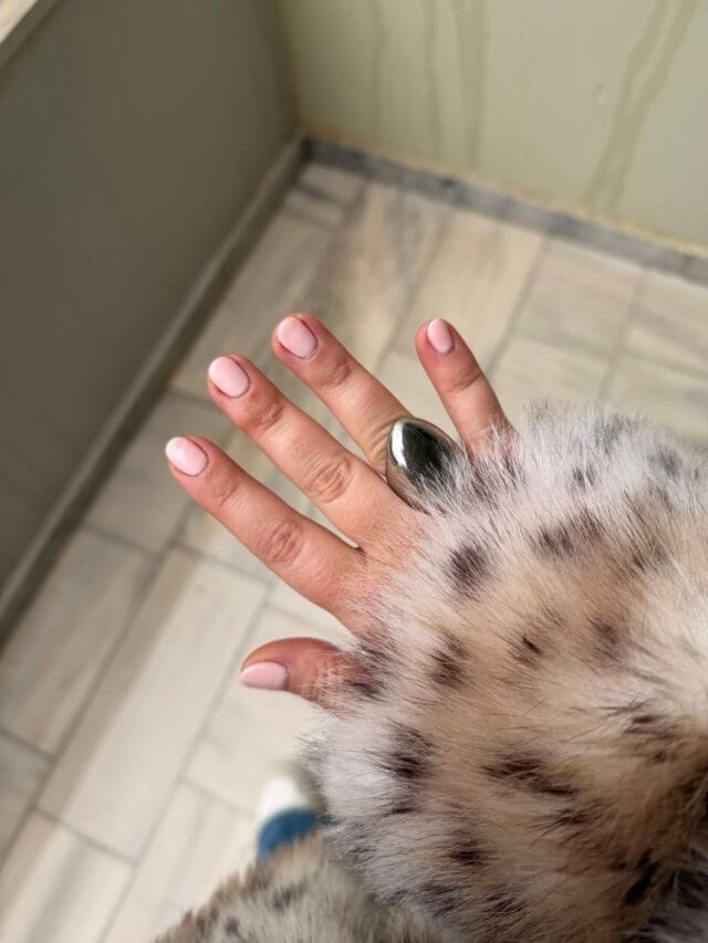 Minimal Chic ή Bold Color?
